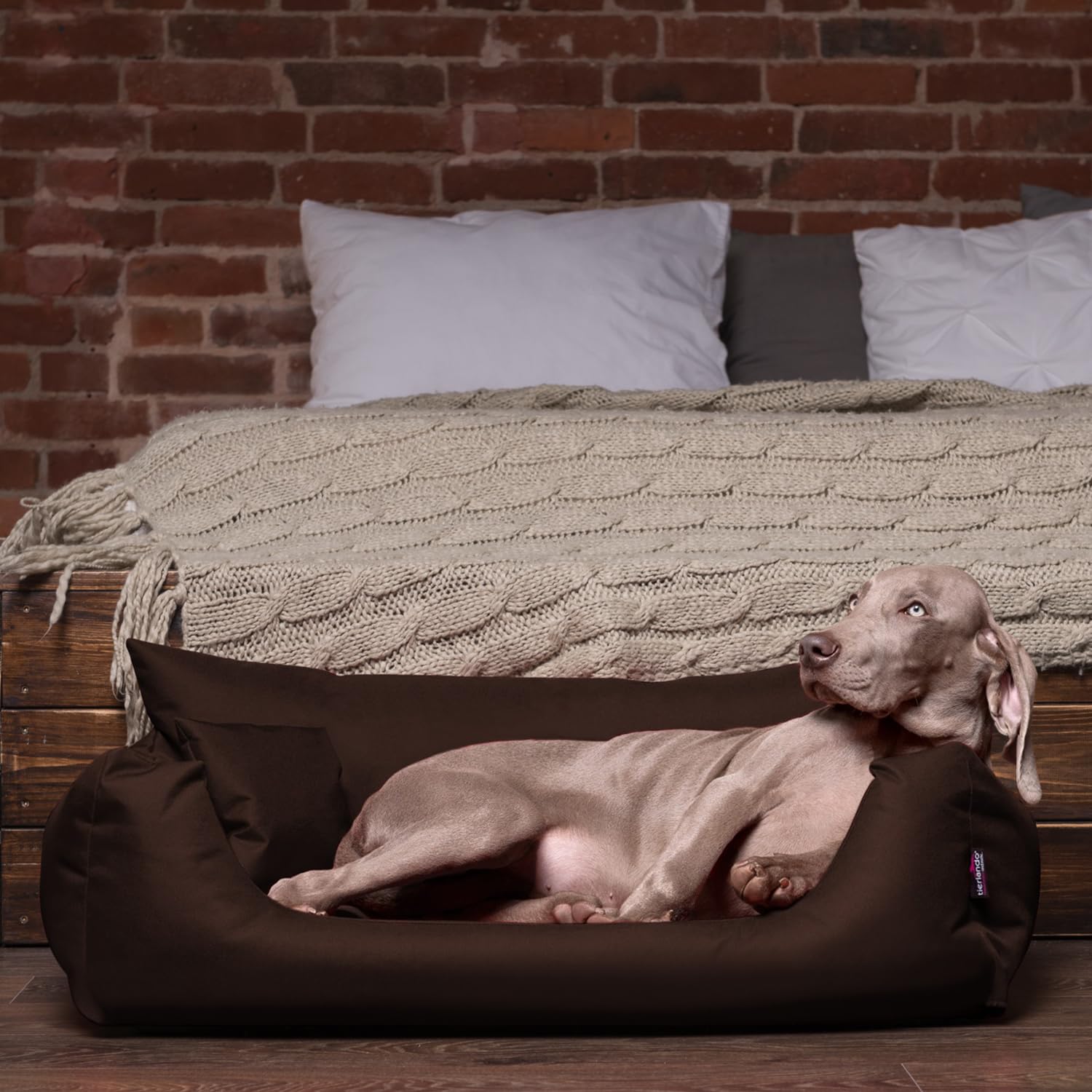 tierlando® NEMO Hundebett aus robustem Oxford 600D, Hundesofa mit herausnehmbarer Komfort-Matratze und waschbarem Bezug, für kleine & mittelgroße Hunde Größe: 65x50cm | Farbe: 01 Braun