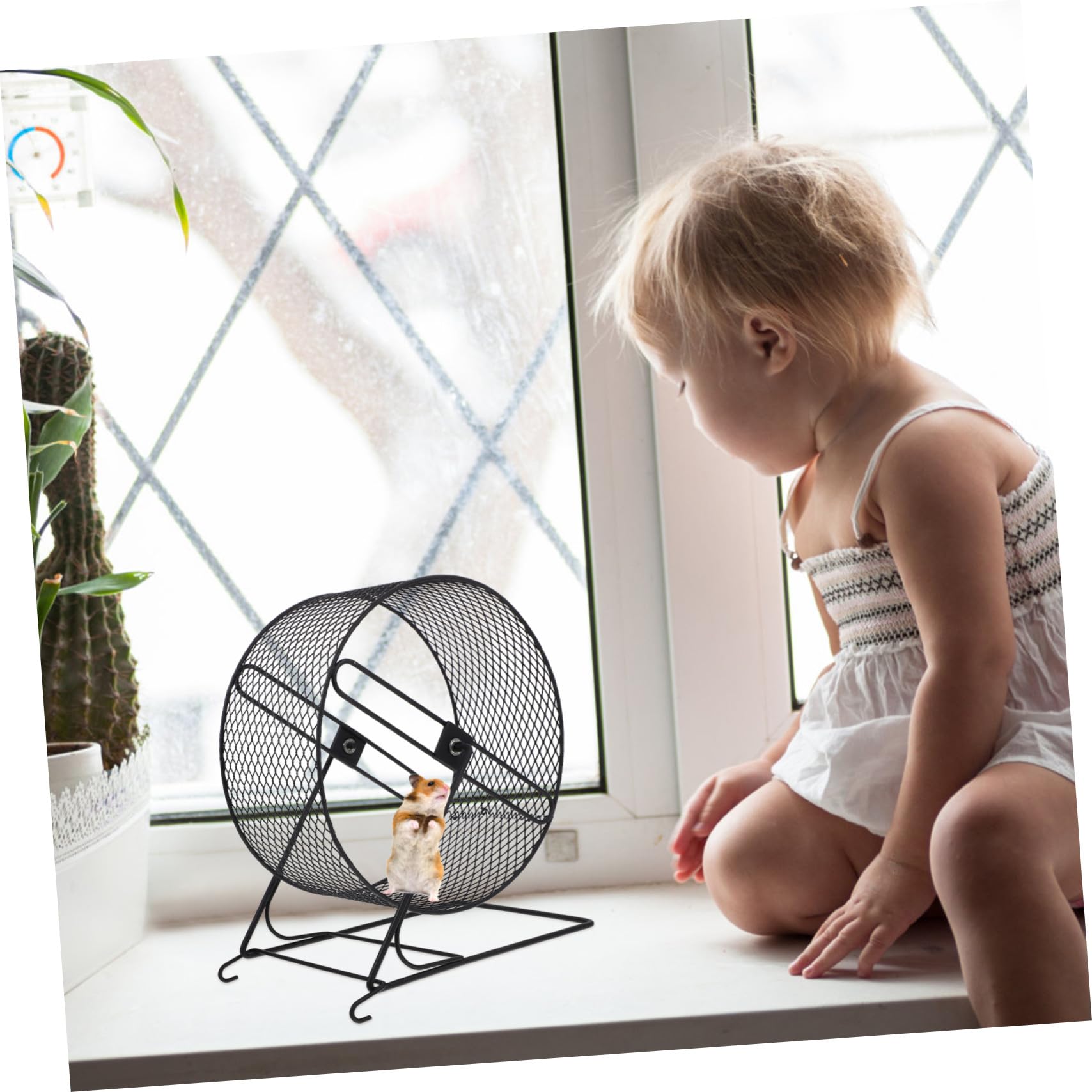 Jouet de Course pour Hamster Roue d'exercice Silencieuse en Fer pour Écureuil Chinchilla Planeur à Sucre Développement Musculaire Accessoire pour Cage 21 Cm