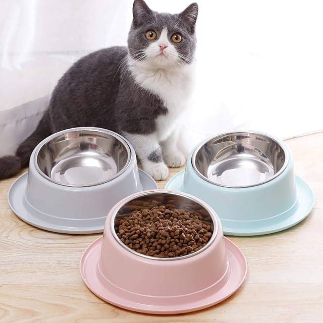 Foto 6 de 7 de N-B Cuenco inclinado para mascotas con forma de sombrero antihormigas con boca oblicua 15° dieta saludable…