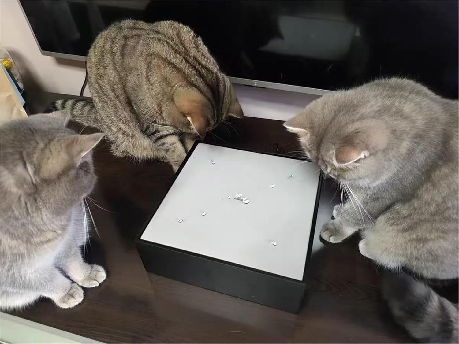 Electric Cat Teaser, Automatic Water Drop Cat Teaser Toy, Modern Sculpture of Flowing Water, with 600ml Water Storage Box, Built-in Removable Washable Filter, for, CatsExercise