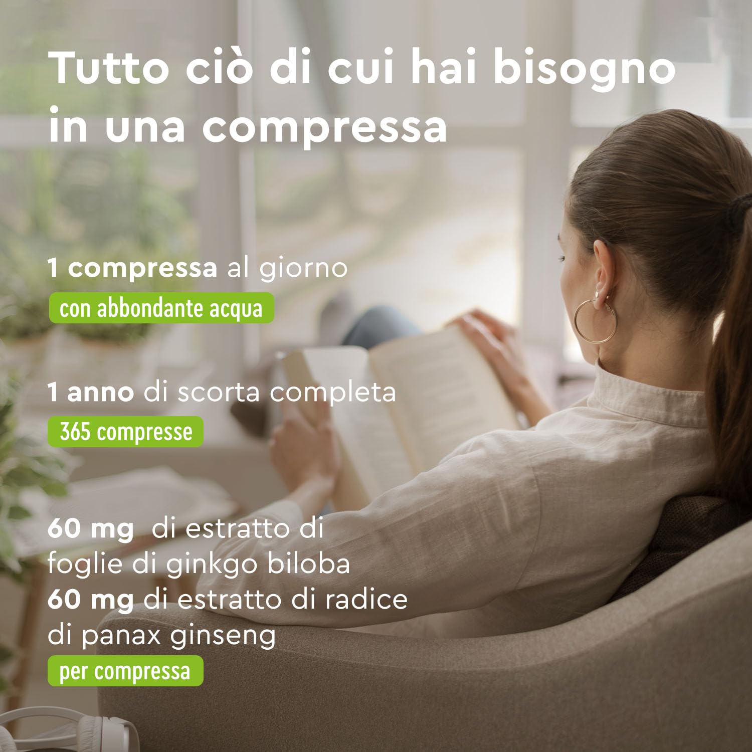 Ginkgo + Ginseng 365 Compresse - 24% Glicosidi Flavonici - Estratto di Panax Ginseng e Ginkgo Biloba (50:1) ad Alto Dosaggio - Scorta di 1 Anno - Testato in Laboratorio, Vegan e Senza Additivi
