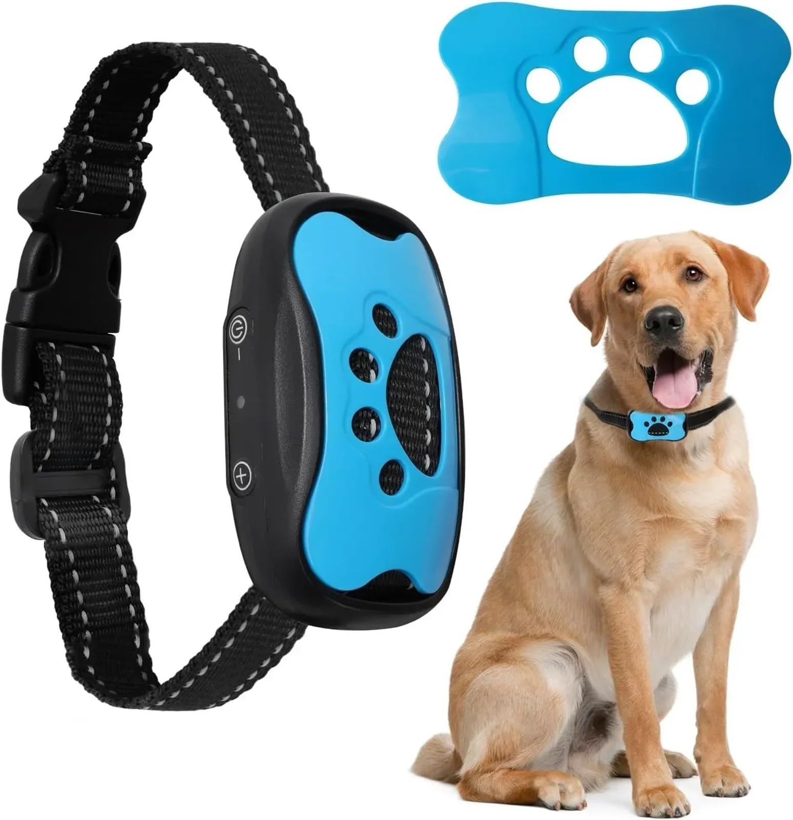 Dispositif anti-aboiement pour chien bleu rechargeable via USB