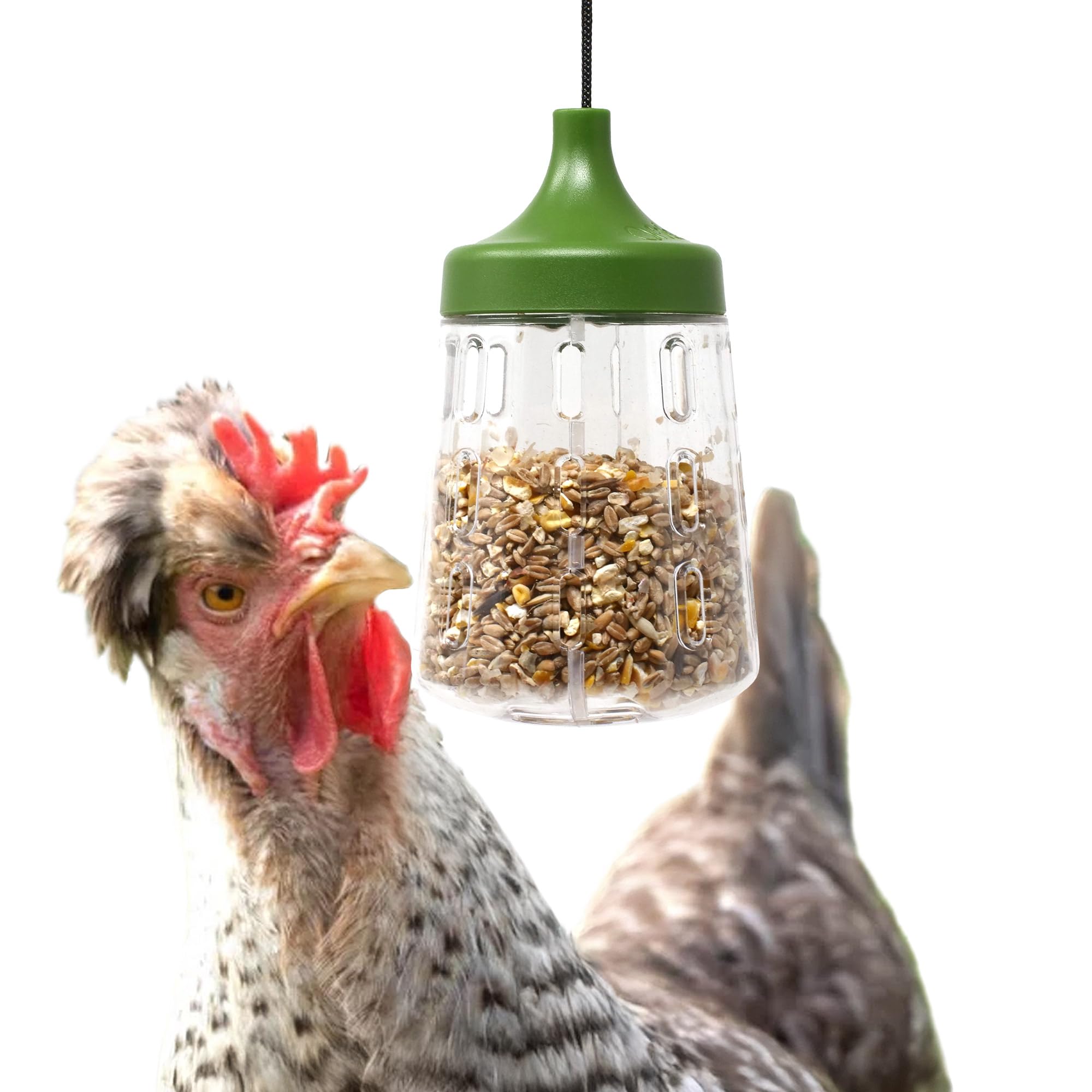 Omlet Pendant Peck Toy | Interactive Slow-Feed Chicken Treat Dispenser | Boredom Busting Enrichment for Hens | Holds About 300g of Feed | Encourages Pecking & Foraging | Available in 2 Designs