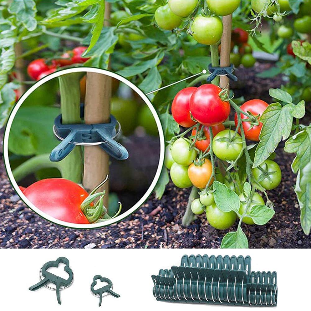 300 Pezzi Clip per Piante Rampicanti, Clip per Piante, Clip per Giardino, Clip per Supporto per