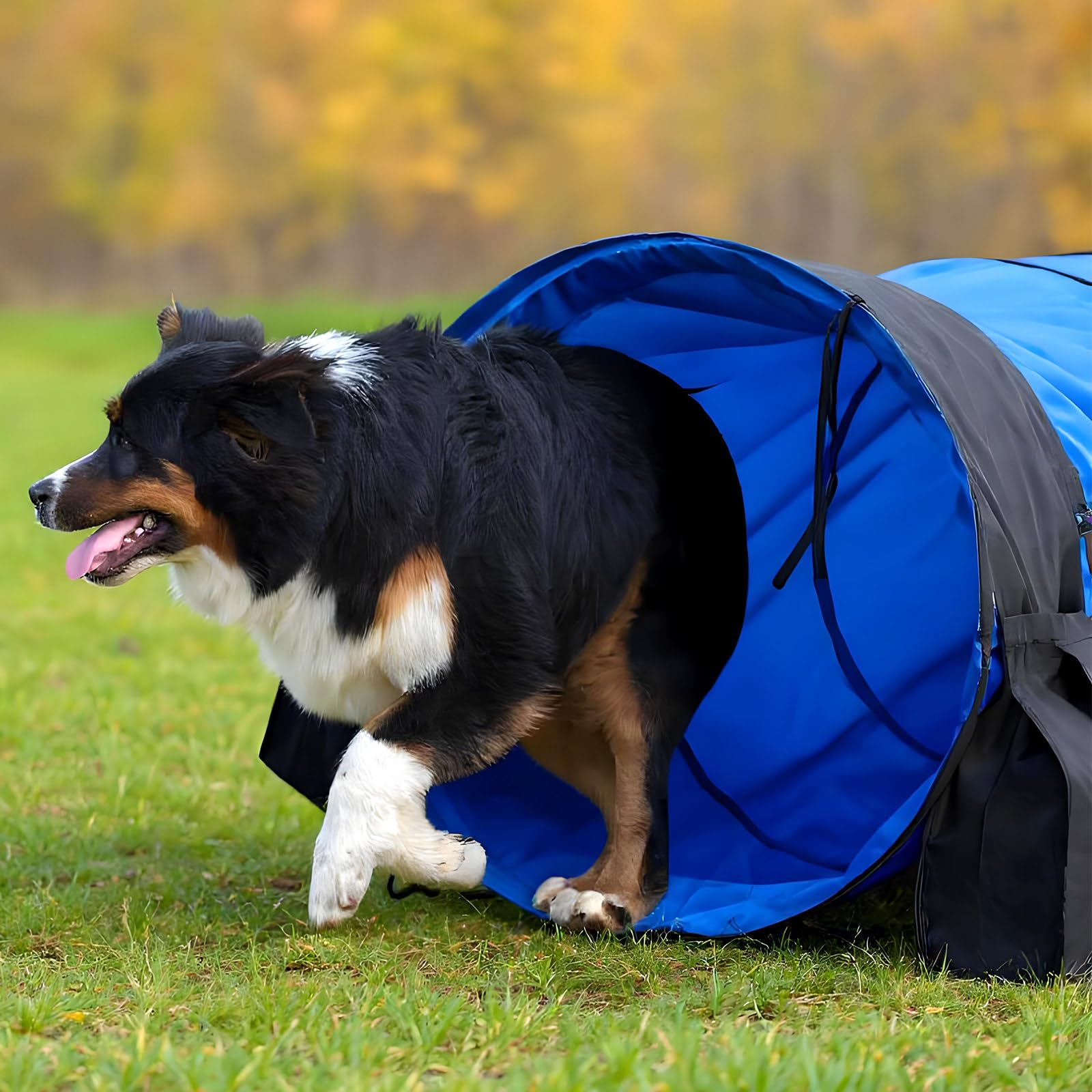 28 in 18 Foot Blue Extra Large Dog Agility Tunnel with Sandbags Dogs Agility Training Equipment Tunnel with 4 Pack Sandbags Carry Bag and 4 Ground Spikes for All Medium and Large Dogs - image 5
