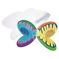 Vista 6 de Colorations Decora tus propias alas juego de 12 para actividades de arte y manualidades de niños (FLYAWAY)