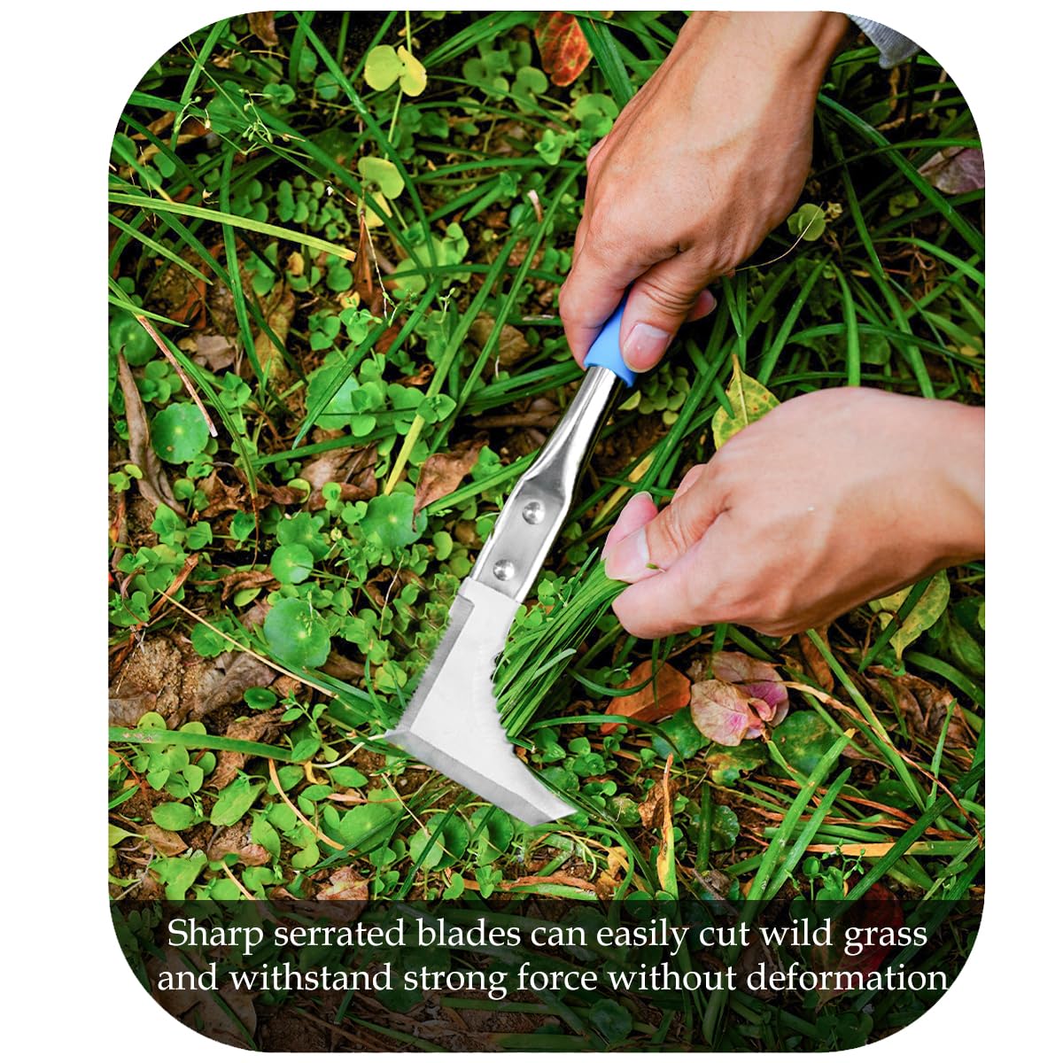 Kosoyo - Herramienta manual de acero inoxidable para deshierbar grietas, herramienta de jardinería de acero inoxidable, 29 cm