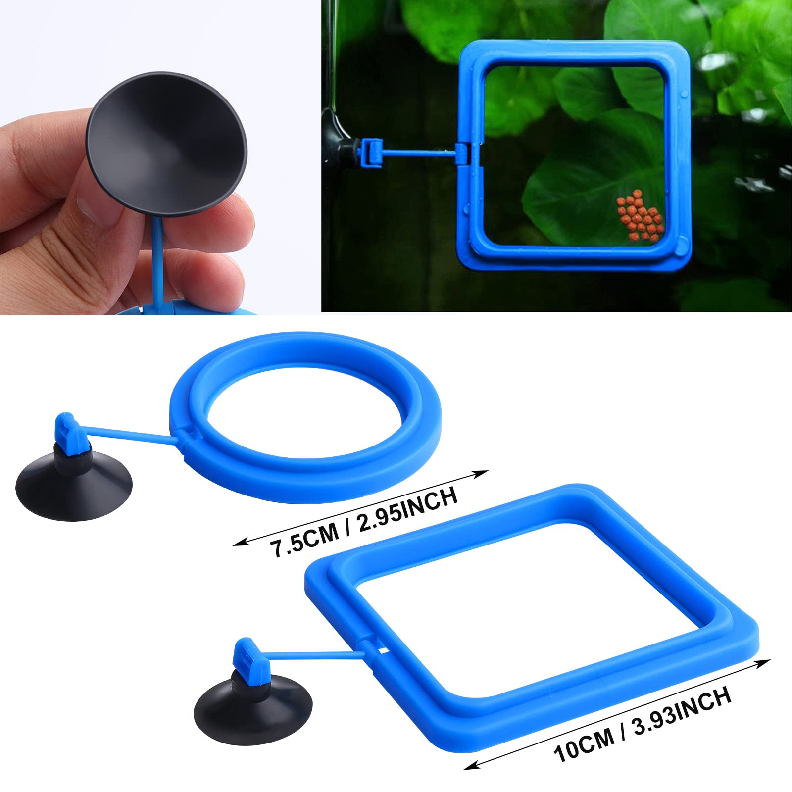 Cobee Lot de 2 mangeoires pour poissons d'aquarium - Accessoires circulaires pour gupy, Bettas, poissons rouges, tortues (bleu)