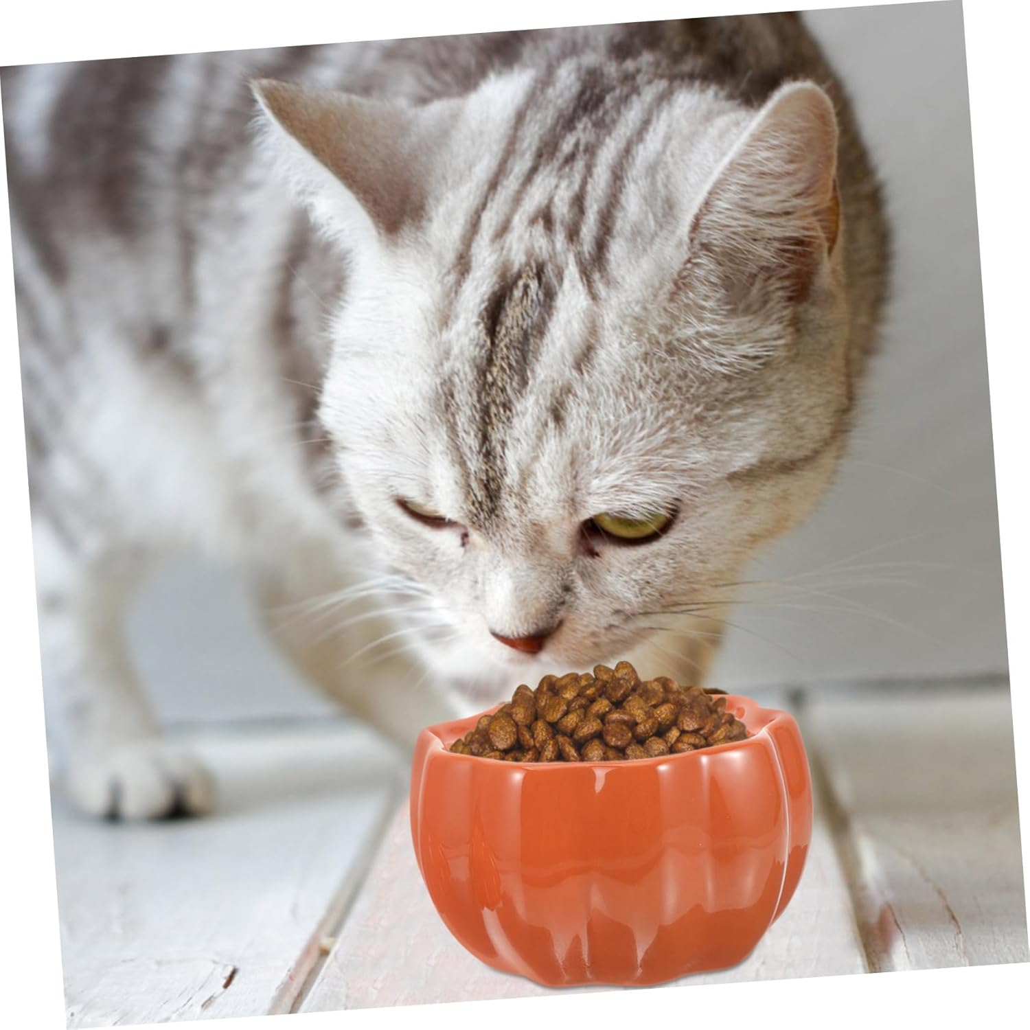 VICASKY Ceramic Food Bowl Elevated Pumpkin Design for Comfortable Feeding Portable Pet Dish for Cats and Puppies Vibrant