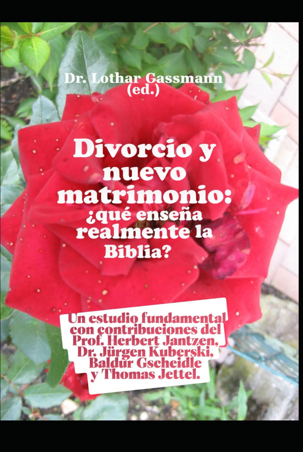 Divorcio y nuevo matrimonio: ¿qué enseña realmente la Biblia?: Un estudio fundamental con contribuciones del Prof. Herbert Jantzen, Dr. Jürgen Kuberski, Baldur Gscheidle y Thomas Jettel.