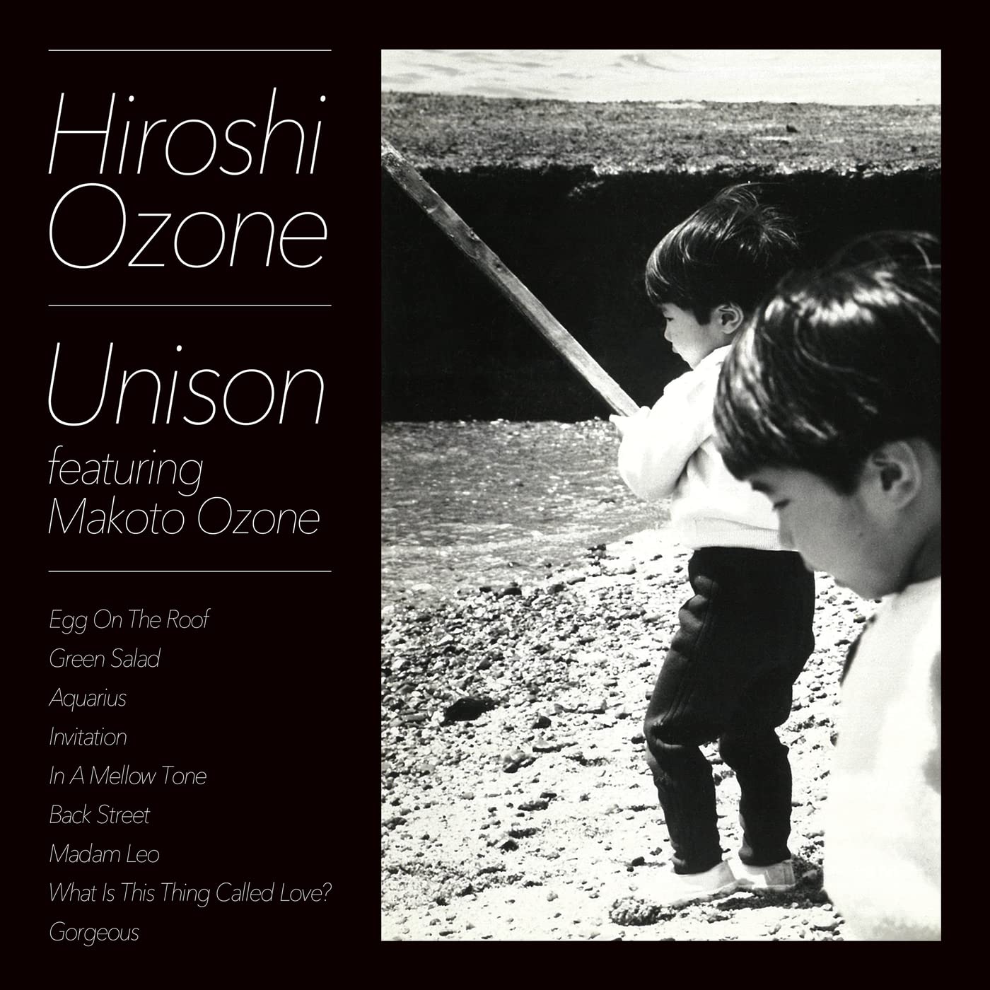 Hiroshi Ozone