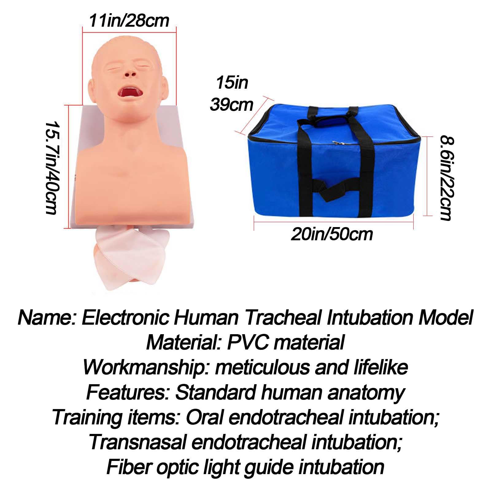 3 Juegos Modelo de Enseñanza de Maniquí de Intubación para Adultos con Alerta Electrónica y Bolsa de Almacenamiento para Práctica de Formación en Intubación Oral e Intubación Transnasal