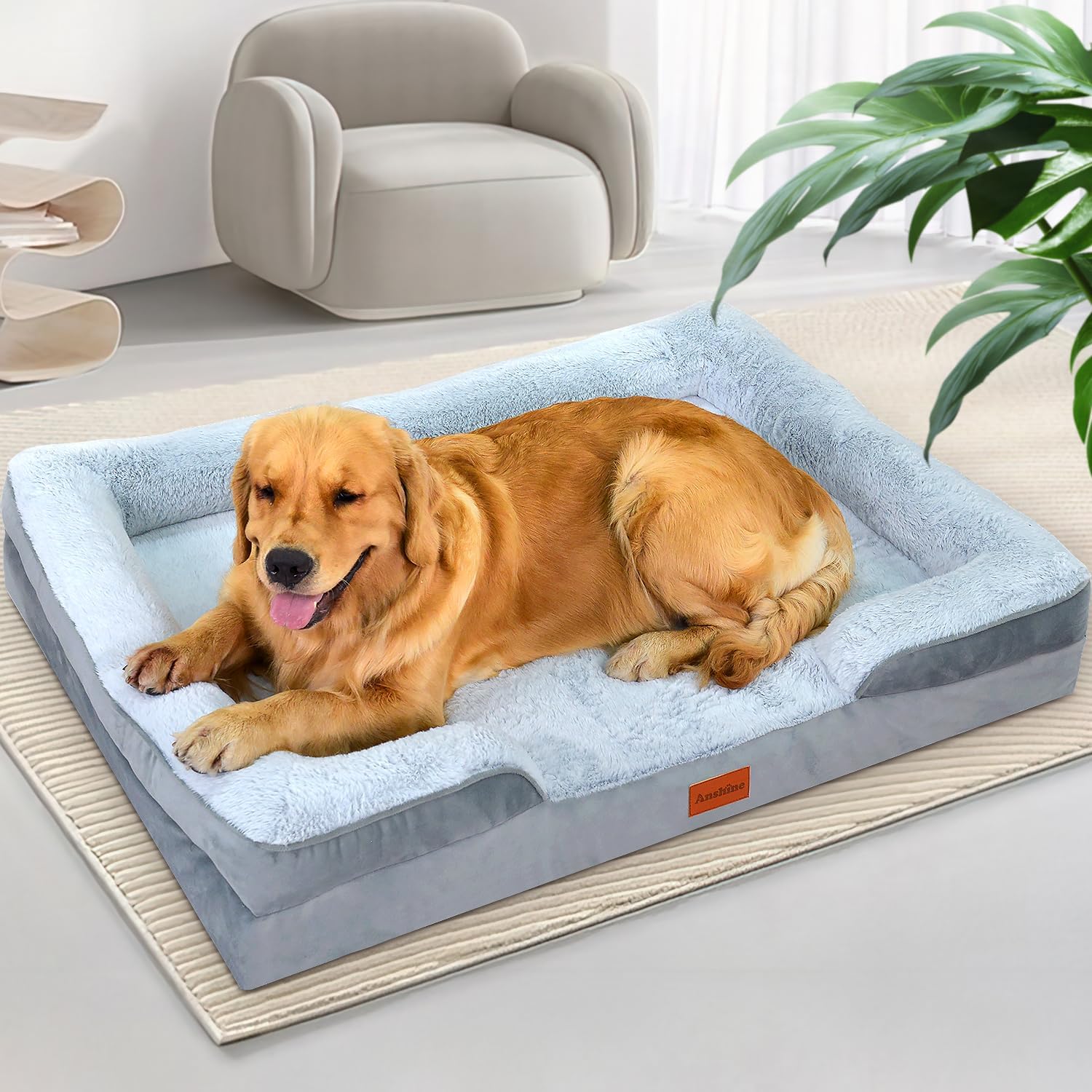 Anshine XX-Large Memory Foam Dog Bed ，Orthopedic Pet Bed for Large Dogs ... - Orthopedic Adoption Large Memory Foam Dog Bed
