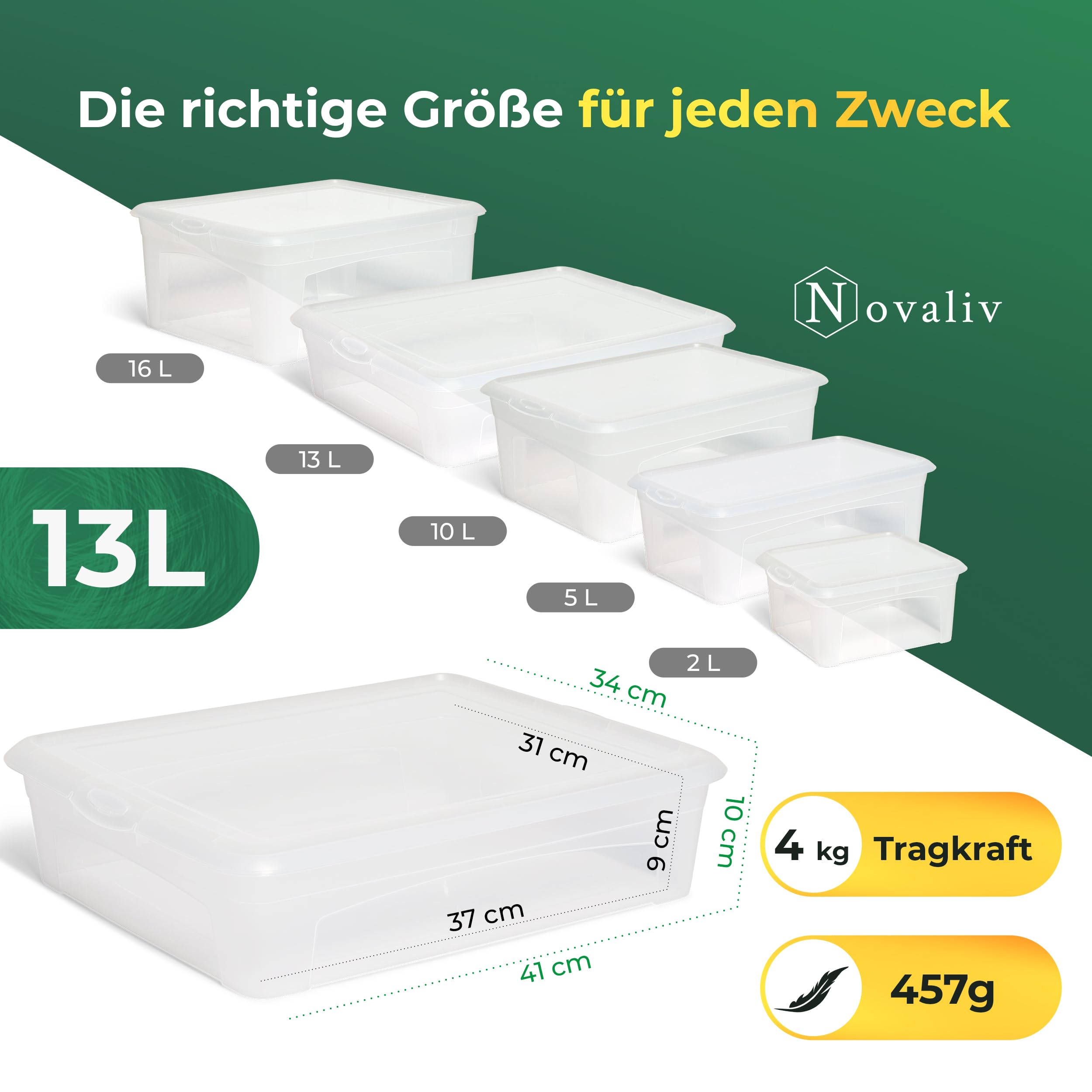 Novaliv 12 cajas de almacenamiento con tapa, 13 L, transparentes, apilables, con cierre de clip, plástico, sin BPA, 41 x 34 x 10 cm