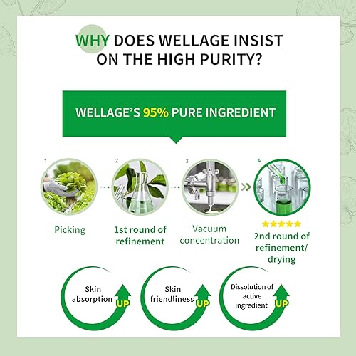 Miniatura 3 de WELLAGE Crema calmante Cica - Hidratante calmante facial coreano, madecassoside de alta pureza con pantenol de centella asiática, calma la piel