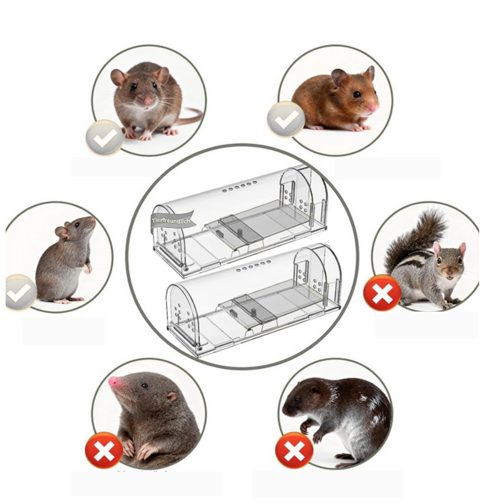Piège à Souris vivantes Lot de 2 - boîte d'appât avec trous de ventilation et porte de sortie - Usage Intérieur et Extérieur Réutilisable