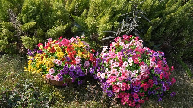 Amazon.com: trytuny Artificial Flowers for Outdoor, UV Resistant