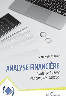 Analyse financière: Guide de lecture des comptes annuels (Dynamiques d'entreprises)
