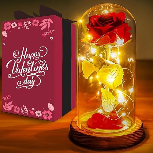 Norcalway Premium Valentines Day Gifts for her - Rose in Glass Dome with 6hr Timer - Birthday Gifts for Women, Mom from Daughter, Son, Kids - Beauty