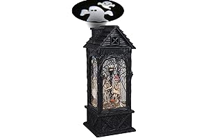 Holiday Lane One Lantern Halloween Skeleton Ghost Projection