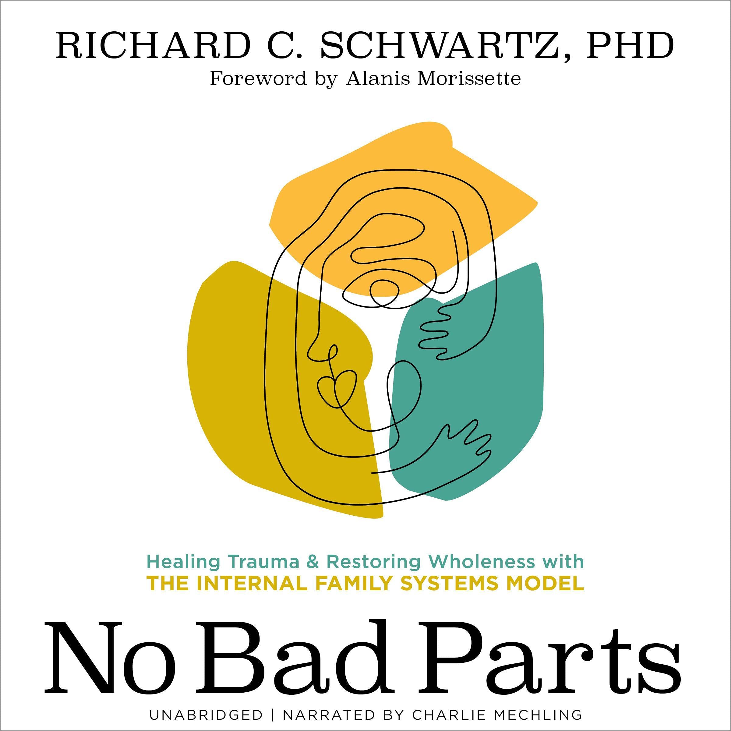 Cover art for No Bad Parts