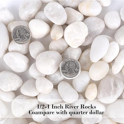 Miniatura 4 de GRISUN Rocas blancas de río de 15 libras para paisajismo, guijarros pulidos para macetero, maceta, jarrones, pecera, grava, decoración del hogar,