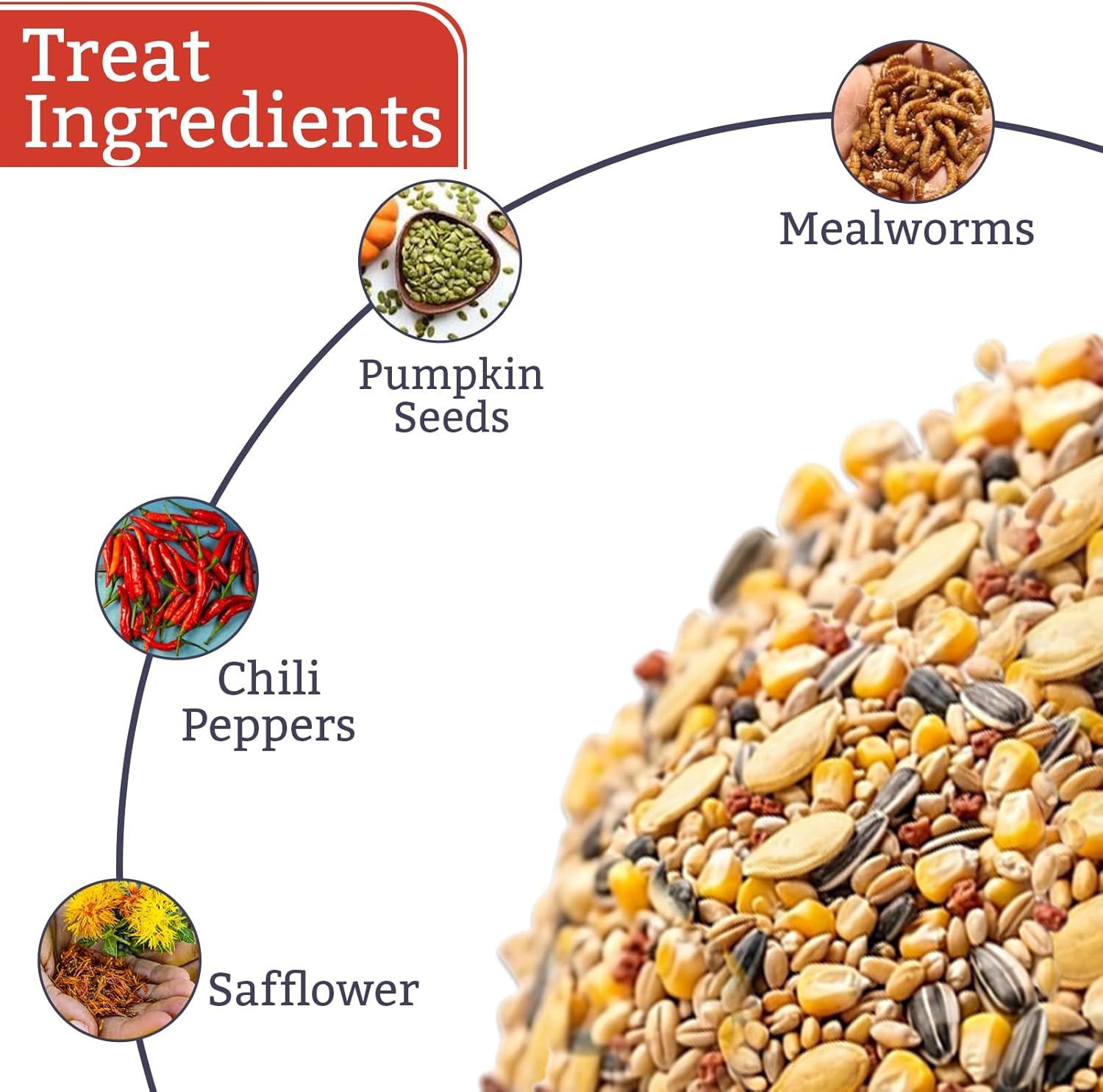 Pumpkin Spice & Everything Nice Poultry Treat for Chickens, High Protein Mealworms Blend with Pumpkin Seeds & Safflower, Food Supplement for Chicken Feed & Chicken Coop Use
