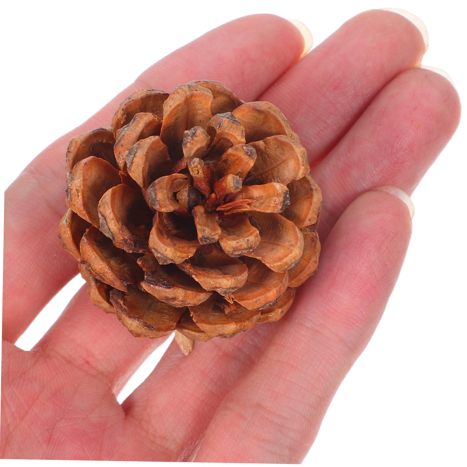 IMIKEYA 130stücke Mini-tannenzapfen Kleine Tannenzapfen für Herbst-DIY-bastelarbeiten Thanksgiving-vasenfüller Winter-weihnachtsdeko Hochzeits-Dekorationen