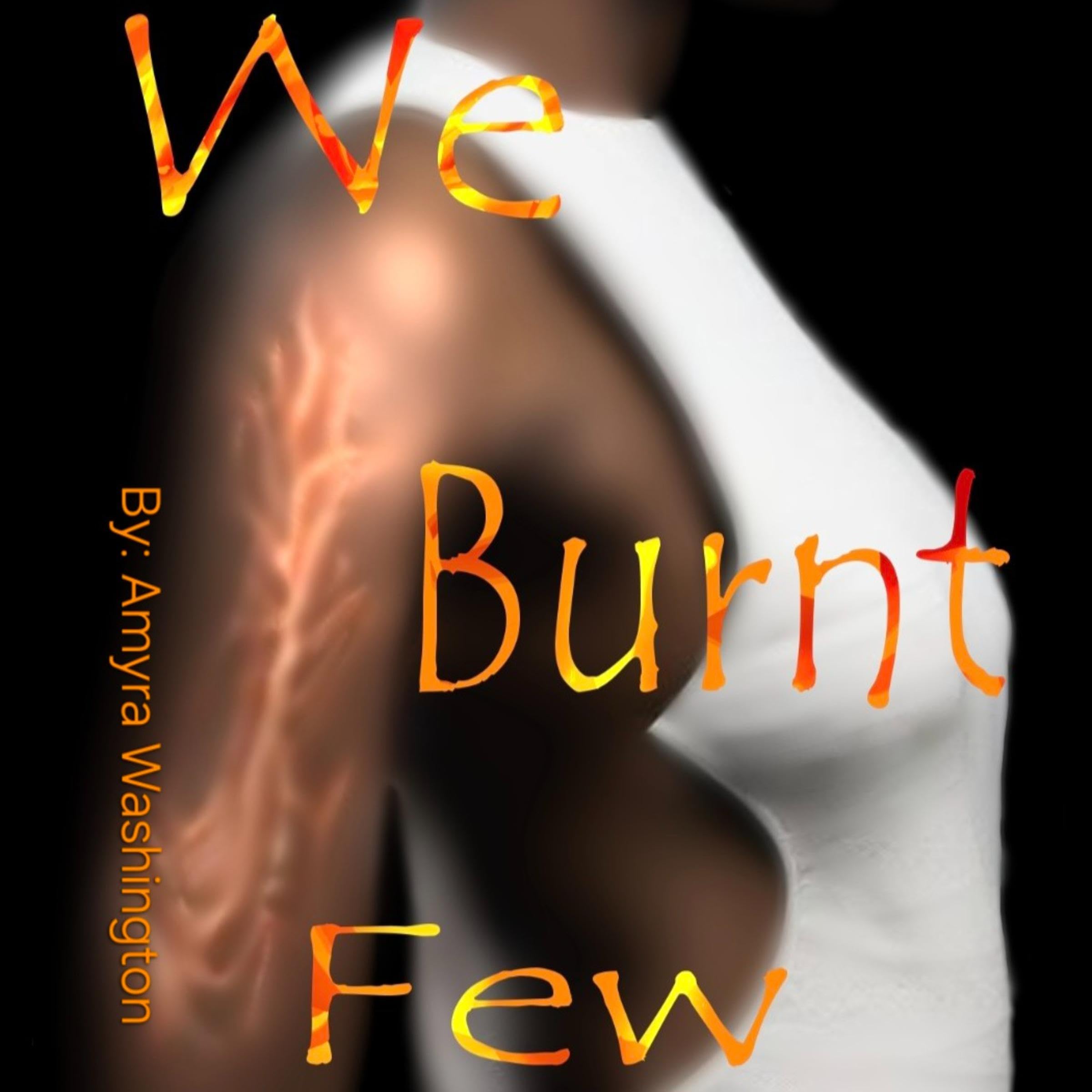 Cover art for We Burnt Few