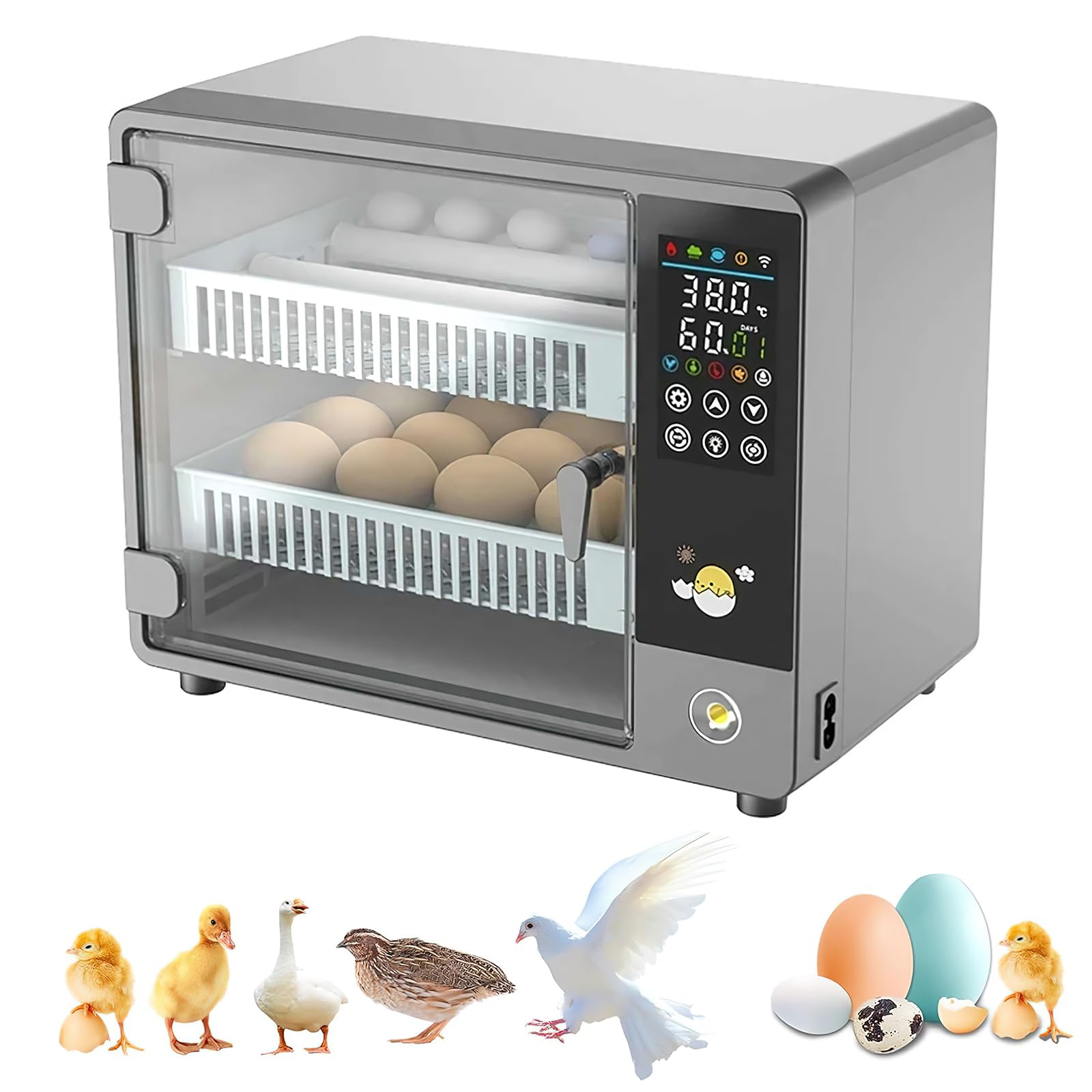 Incubadora Huevos Gallina, Incubadora Automática de Huevos para 24 Huevos, con Volteo Automático de Huevos y Humidificación Automática, Control Inteligente de Temperatura Pantalla Táctil
