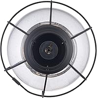 Vista 4 de Trans Globe Lighting 69905 BK Catalina - Linterna para exteriores (19 pulgadas), color negro