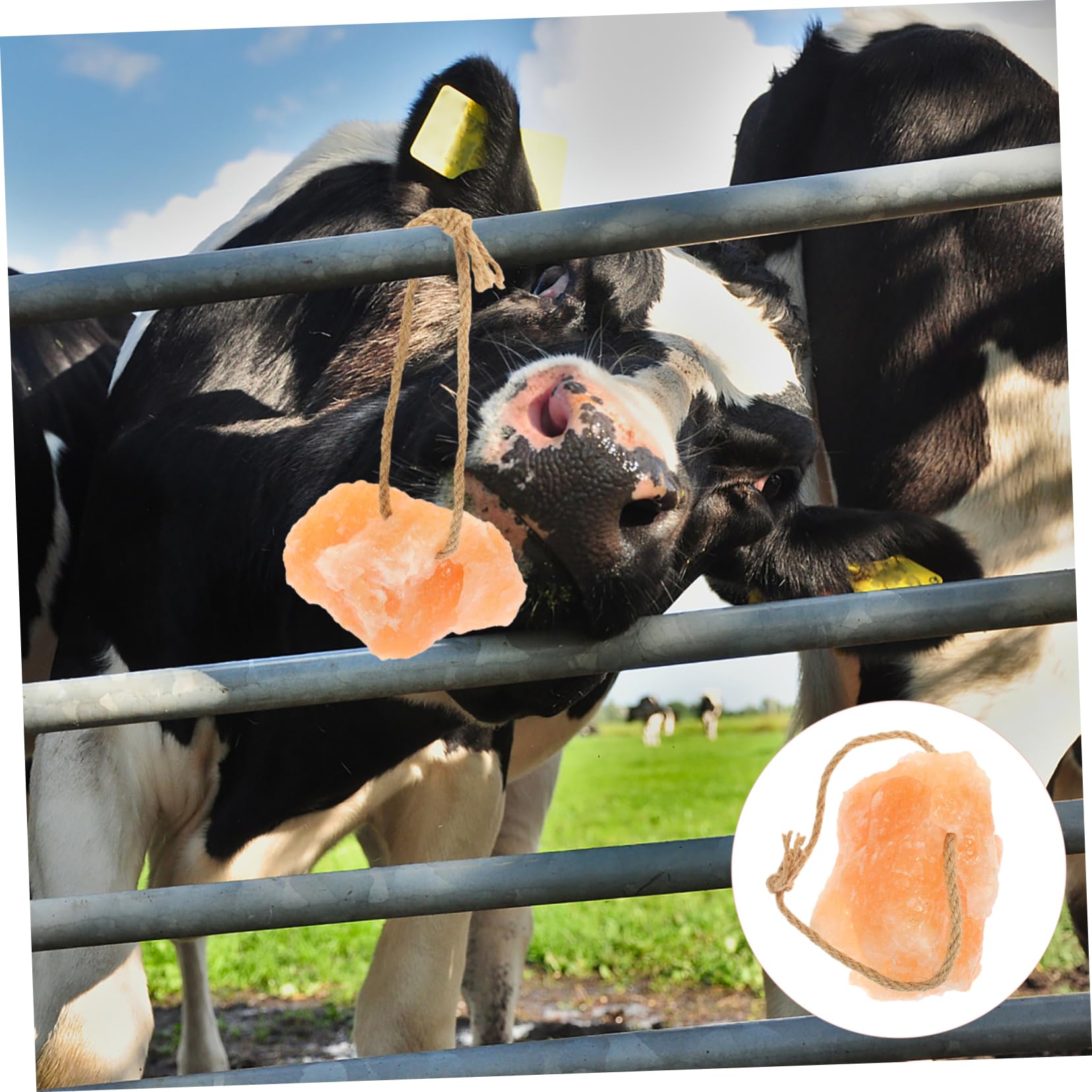 Bloc de Sel à Suspendu pour Bétail 1 Pièce Sel Naturel Supplément pour Animaux de Ferme