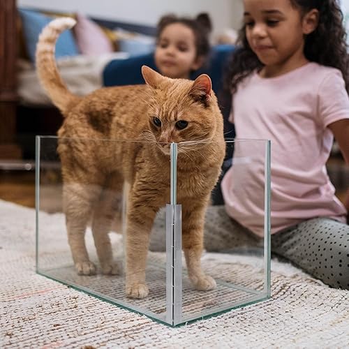 Miniatura 5 de Juego de 2 bisagras acrílicas de 11.811 in, bisagra de piano continua de 12 pulgadas, bisagra acrílica de 12 pulgadas para plexiglás acuario, tapa,