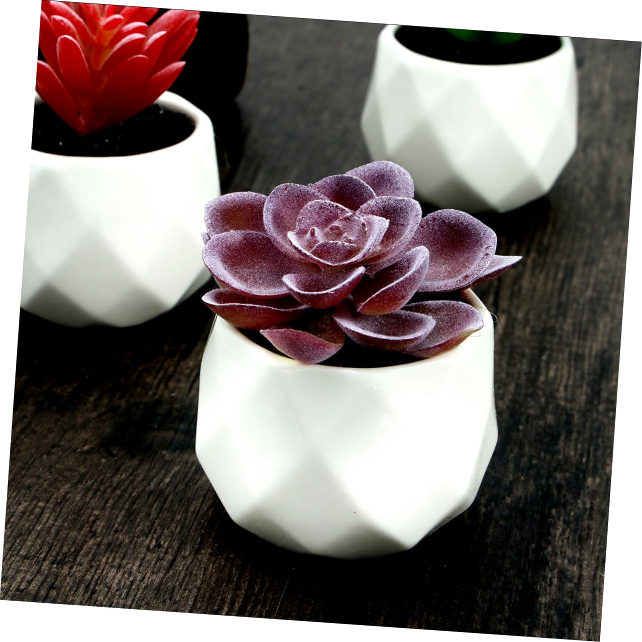 Composizione di Piante Grasse Artificiali in Vaso 4 Pezzi Ceramico Pvc