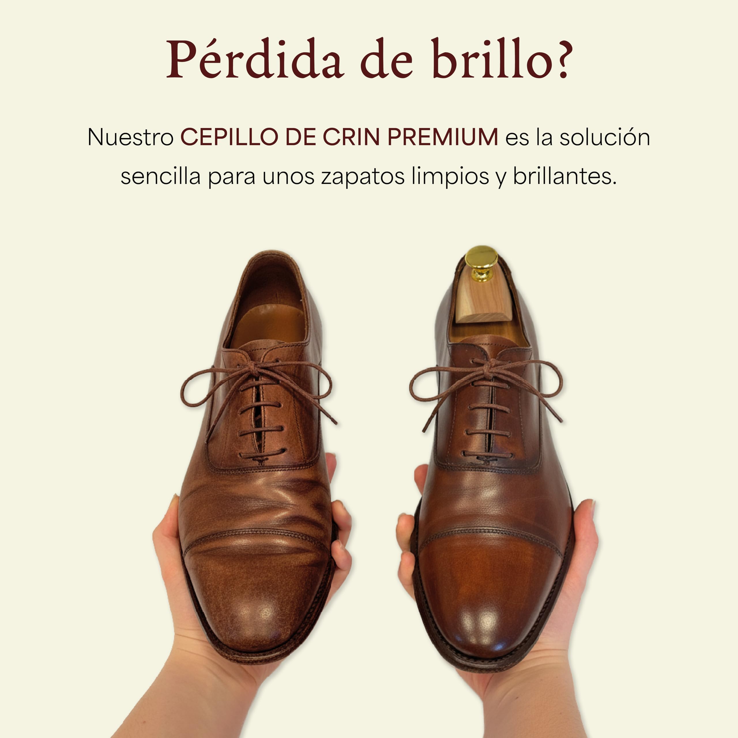 Langer & Messmer Cepillo para Zapatos de Crin Fina para un abrillantado eficaz de Sus Zapatos - El Cepillo abrillantador para el Cuidado Profesional del Calzado