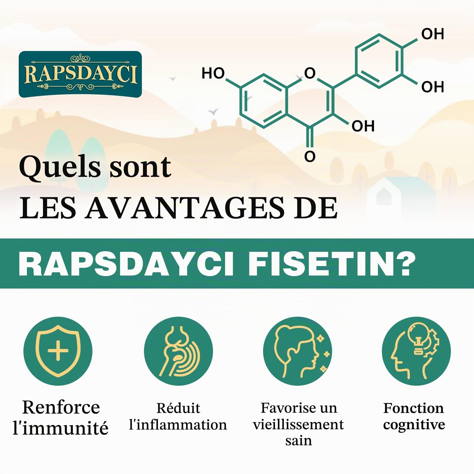 Fisetin Liposomal avec Quercetin 1200 mg - Antioxydant Efficace pour une Santé Optimale (60 Unités (Lot de 2))