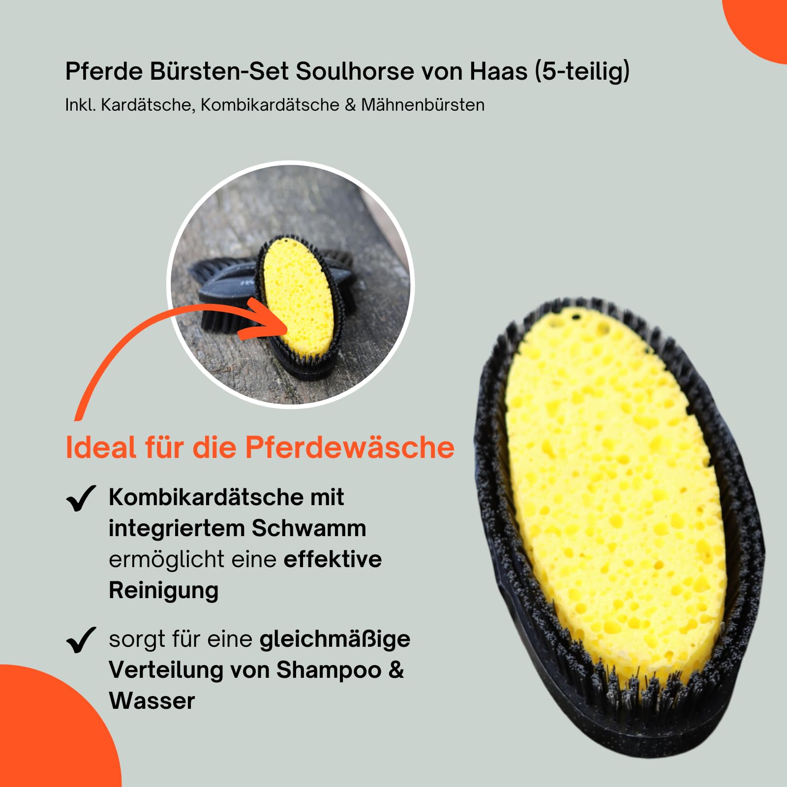 RL24 - Pferde Bürsten-Set Soulhorse von Haas (5-teilig) – schwarz | inkl. Kardätsche, Kombikardätsche & Mähnenbürsten – entfernt Staub, groben Schmutz & Haare – Pferdezubehör