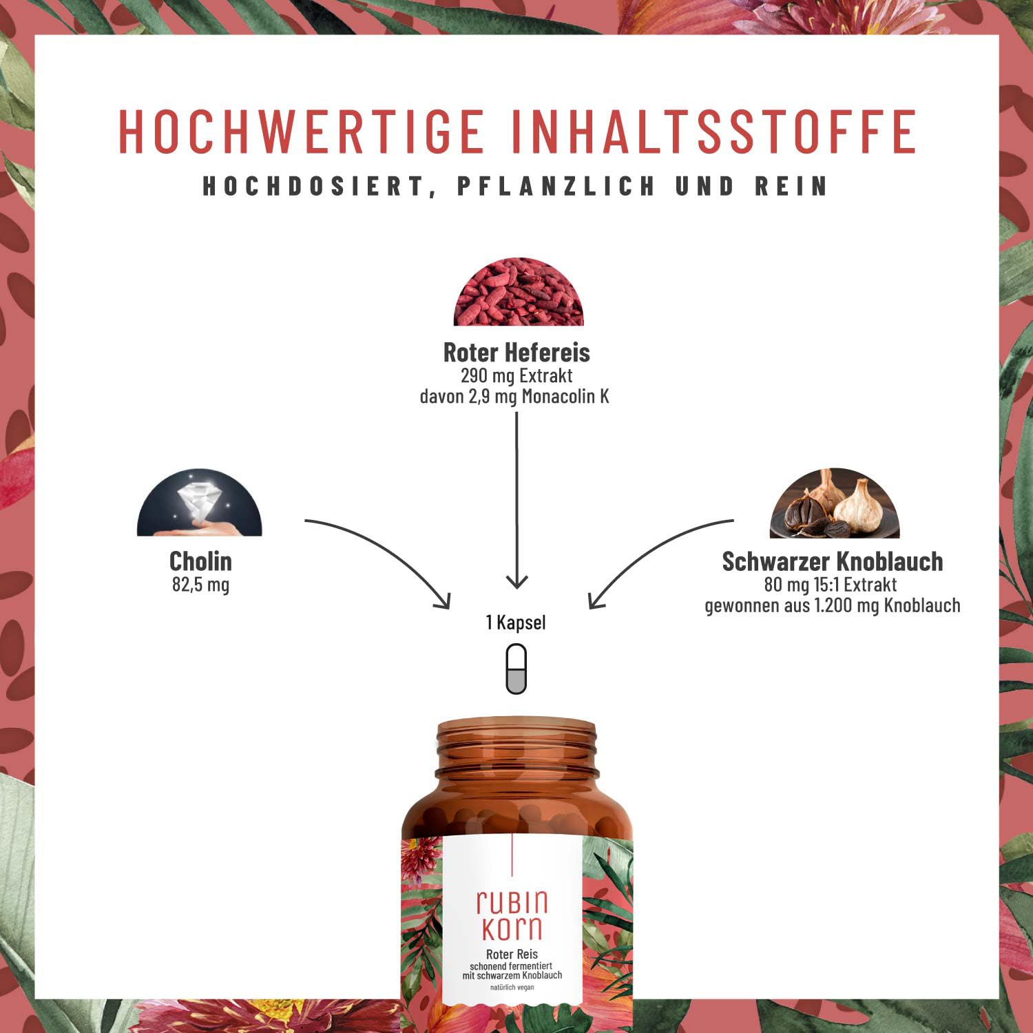 NATURTREU® Roter Reis Komplex abgerundet mit schwarzem Knoblauch Extrakt - 2,9 mg Monacolin K pro Tagesdosis - mit Cholin für normale Leberfunktion - Fermentierter Roter Reis - 120 Kapseln