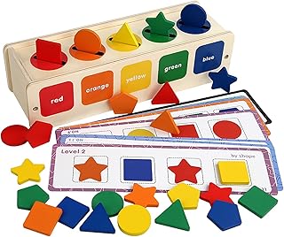 Montessori Wooden Sorting & Matching Toy for Toddlers, Baby Toy 12+ Months, Colour & Shape Learning Educational Game for K...