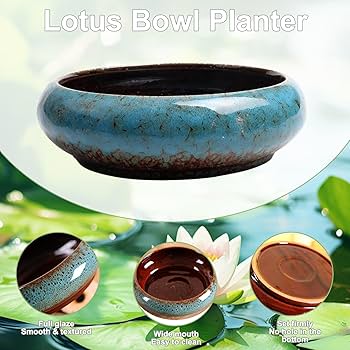 鉢・プランター VALIEM MONSTER MOUTH SMILE BOWLNECK valiem moster mouth asura xs 鉢