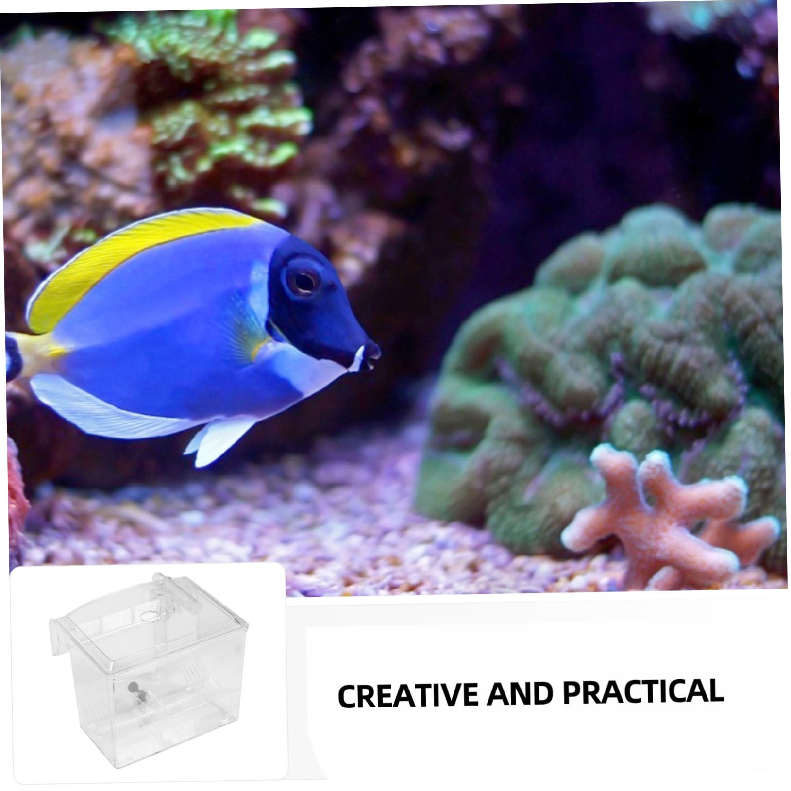 1 Pieza Caja de Aislamiento para Cría de Peces Acuario con Ventosa Incubadora para Alevines Protección y Cría de Peces de Usar Peceras