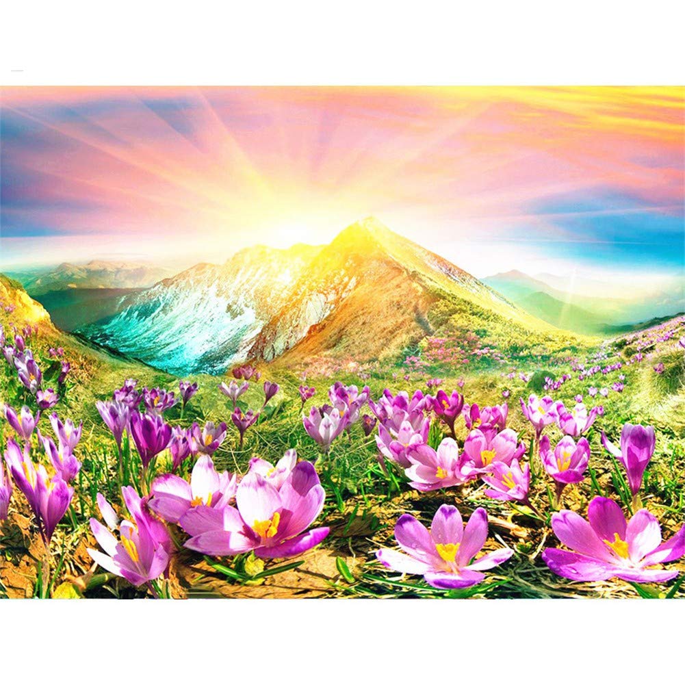 Peinture diamant 5D complet paysage floral 70x90cm pour adulte