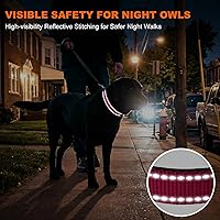 Vista 5 de Taglory Collar reflectante para perro con hebilla de bloqueo de seguridad, collar acolchado de neopreno suave para perros extragrandes, anillo en D