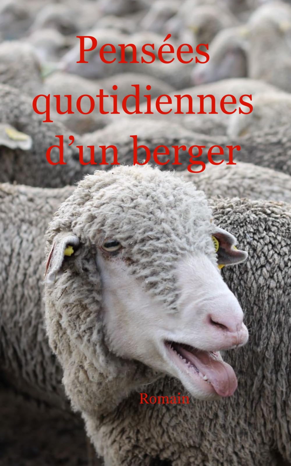 Pensées quotidiennes d'un berger