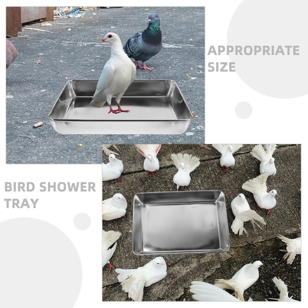 Vogeltränke Edelstahl Taubenbadewanne mit Tiefem Design aus Robustem Edelstahl Sichere Vogelbadewanne für Papageien und Tauben im Vogelkäfig Spritzwassergeschützt