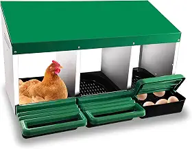 Eggluuz Caixa de ninho de galinha, 3 furos para galinhas para colocar ovos