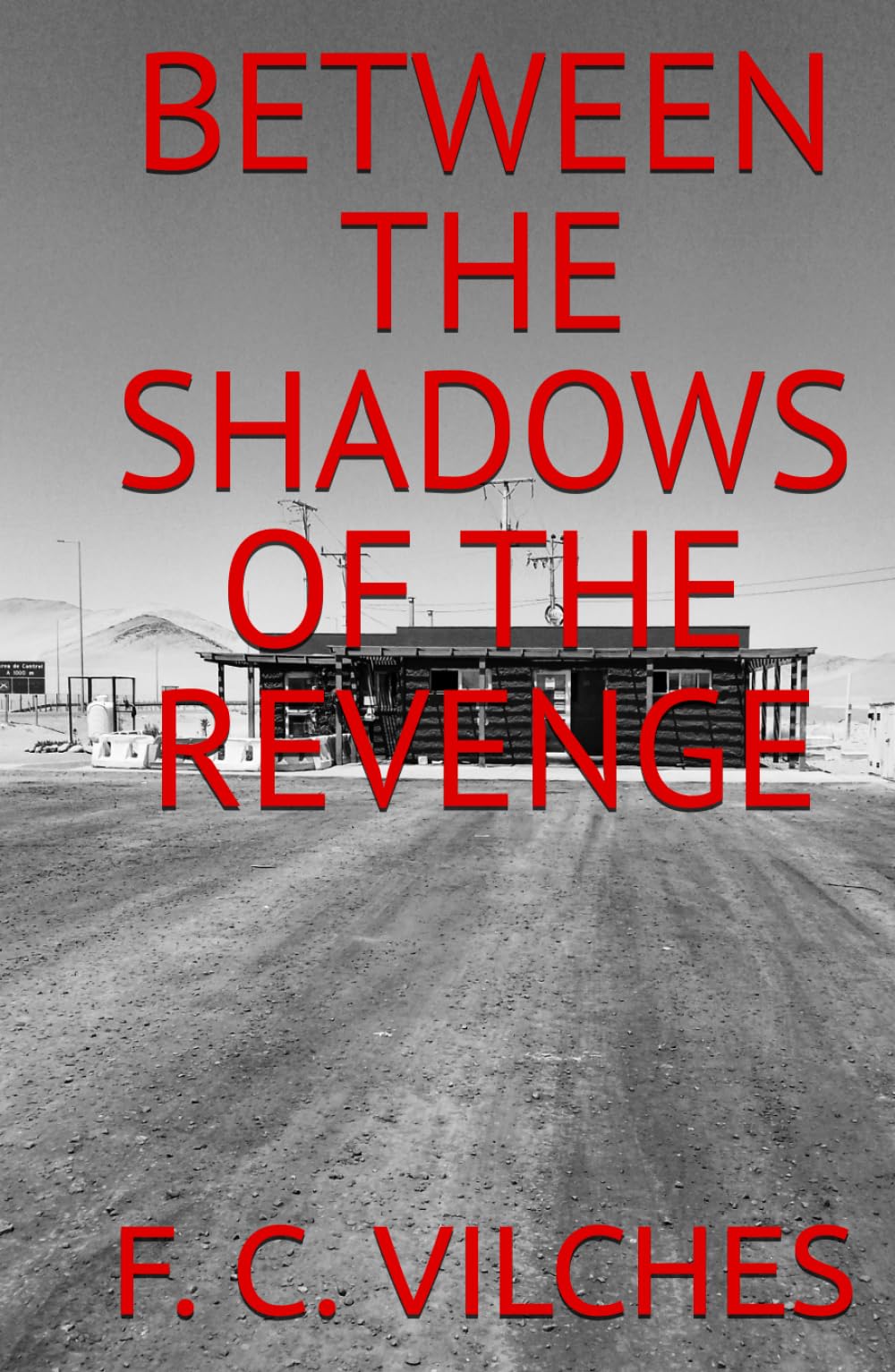 BETWEEN THE SHADOWS OF THE REVENGE