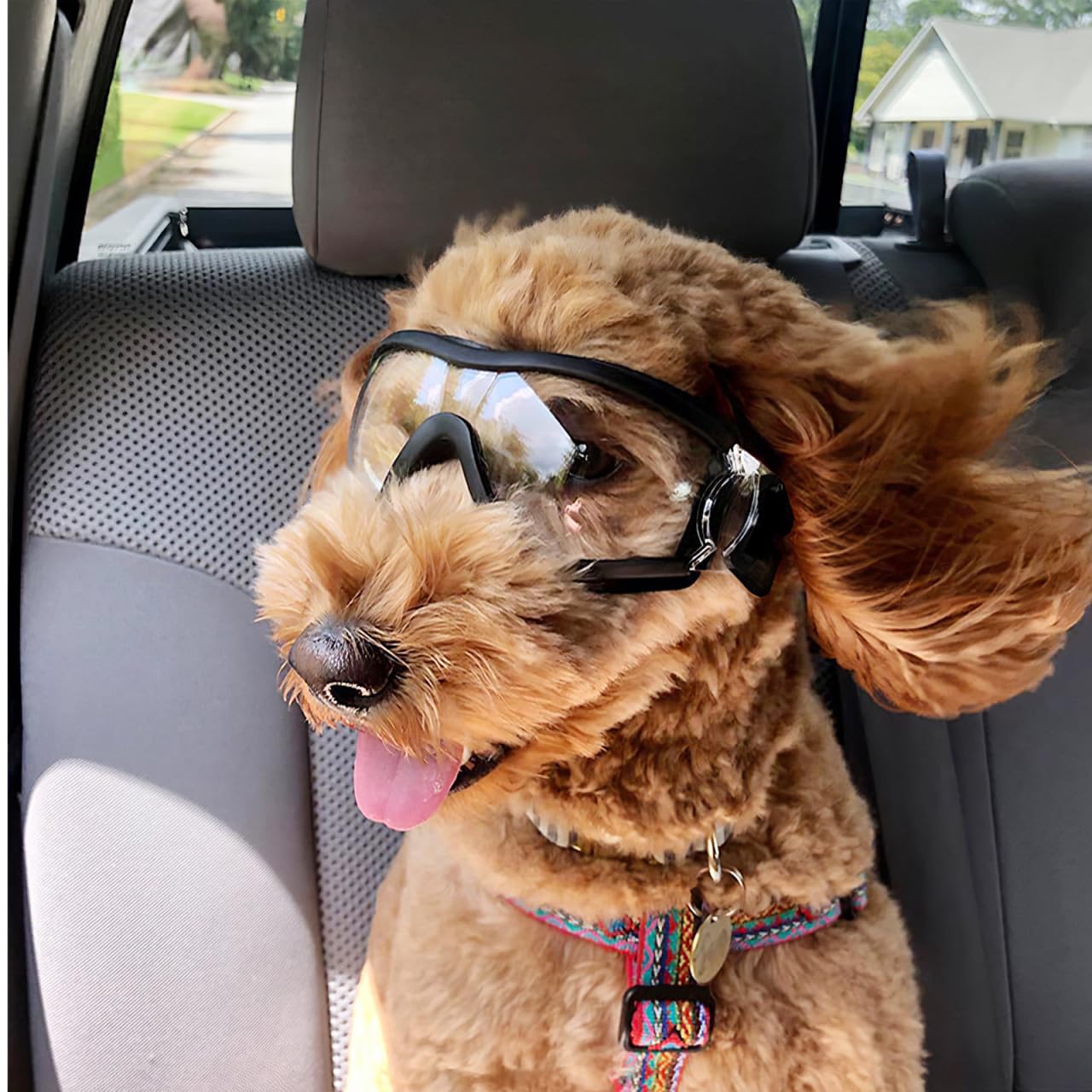 balacoo Hundebrille Transparente Schutzbrille Mit Verstellbarem Gummiband Winddichter Augenschutz Aus Pc-Material Für Hunde Bei Sport Laufen Spaziergängen Und Outdoor-Aktivitäten