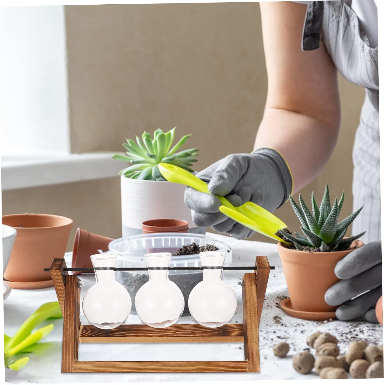 HEMOTON 1Set Desktop Bulb Terrarium with Wooden Stand Retro Planter for Hydroponic Plant Propagation Elegant Tabletop Decoration for Indoor Spaces and Design