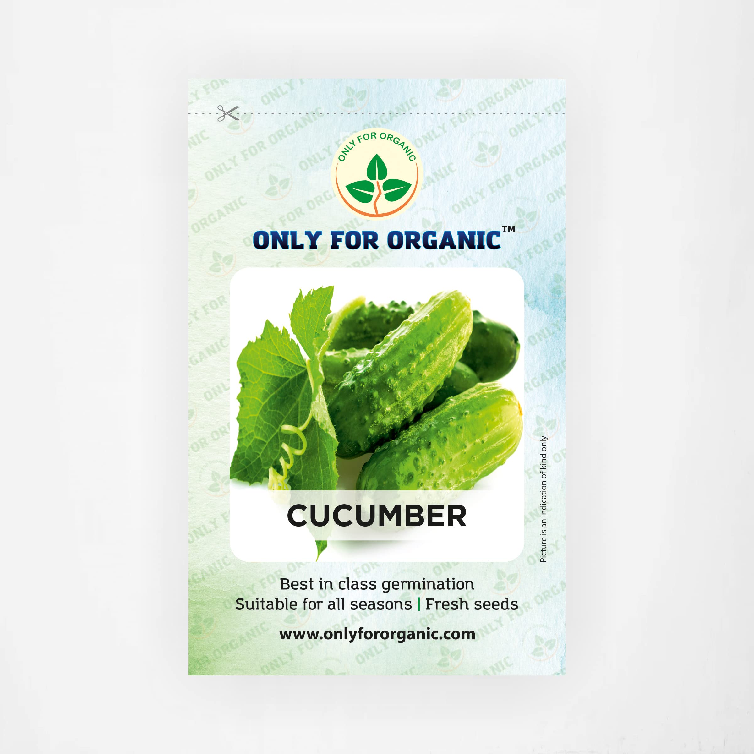 Only For Organic Cucumber Seeds (20 Nos) (B09W2WD8J6) Amazon Price History, Amazon Price Tracker